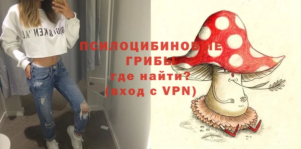 метадон Каменка