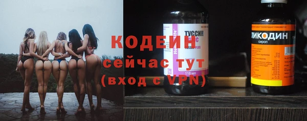 метадон Каменка