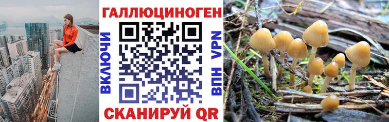 Купить  Нолинск  Галлюциногенные грибы ЛСД 